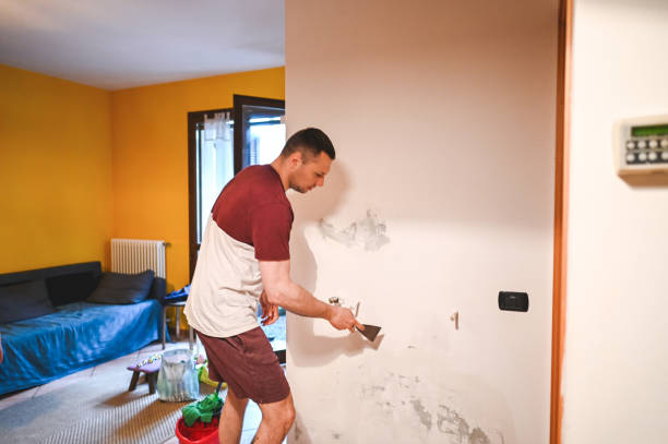Trusted Clawson, MI Mold Removal Experts